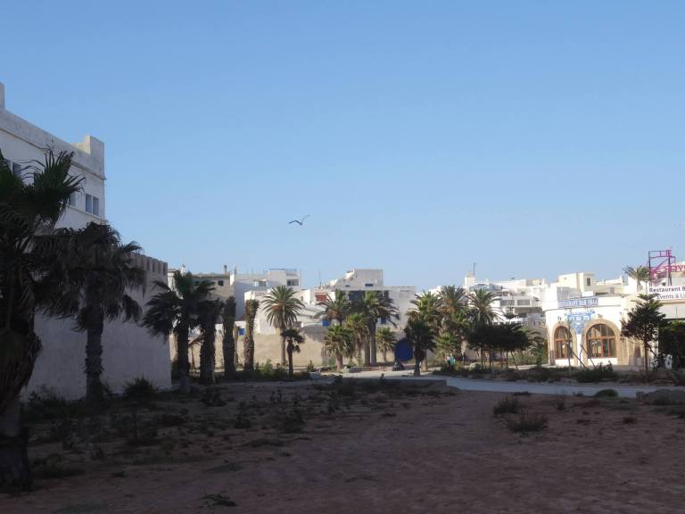 11807510_10153257750499093_4420158822156655862_o