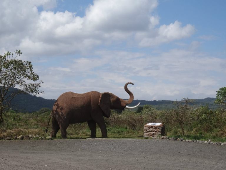 11226020_10153467713859093_8004771507120804770_o