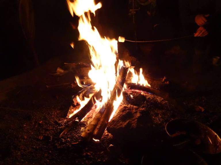 15591546_10154489226494093_5720105311610444558_o