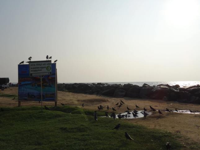 24955555_10155521964024093_4050139696027998499_o