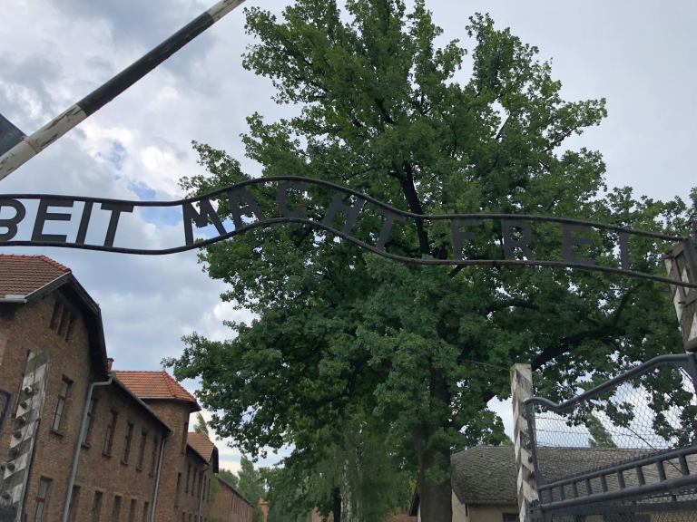 39176365_10156113063269093_6556265902306754560_o